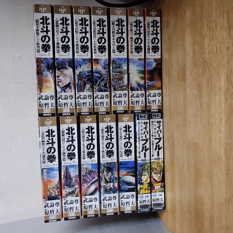 即決/北斗の拳 サイバーブルー/全12+2巻/原哲夫/全巻・完結・コンビニ