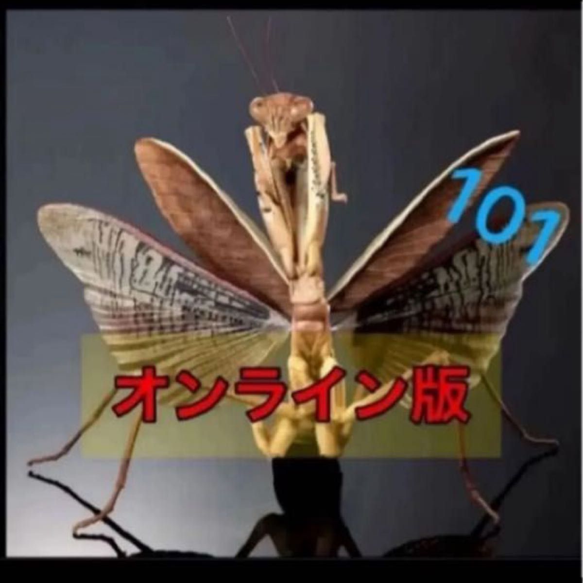《オンライン版》　オオカマキリ（褐色型）　いきもの大図鑑アドバンス　オオカマキリとショウリョウバッタ　バンダイ二手;物流保障;未使用