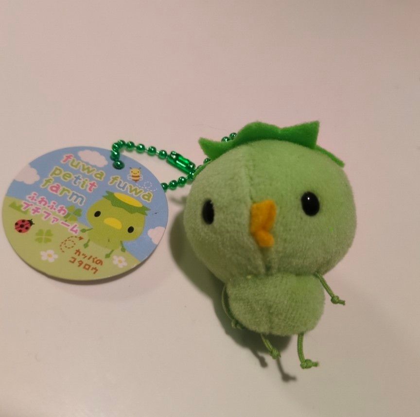 カッパチャンネルR　カッパのコタロウ ぬいぐるみ マスコット二手;物流保障;未使用