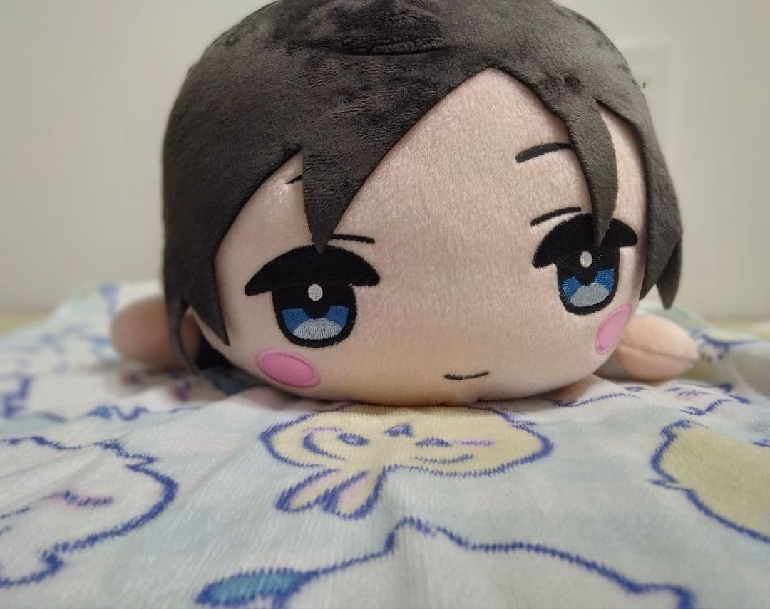 ※doorzo様専用　囚われのパルマ　ハルト　ぬいぐるみ没有明显的损伤或污渍