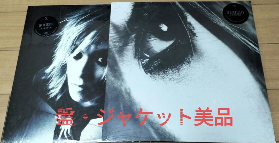 SUGIZOレコード 12inch 2枚売り (盤・ジャケット美品)